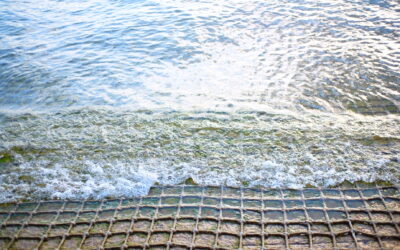 Plán akcí 2025 září – Prosinec