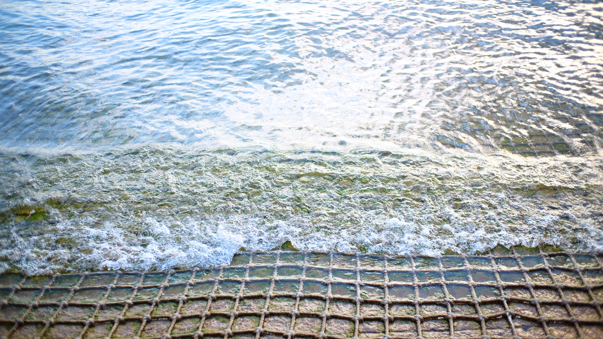 BB7E30E9-2510-4602-992E-A0743B8C0A94-1176-000000369EE9C4DD