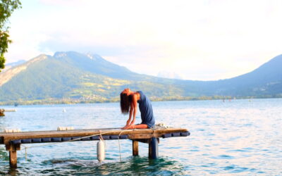 Mentorship program 2026/27